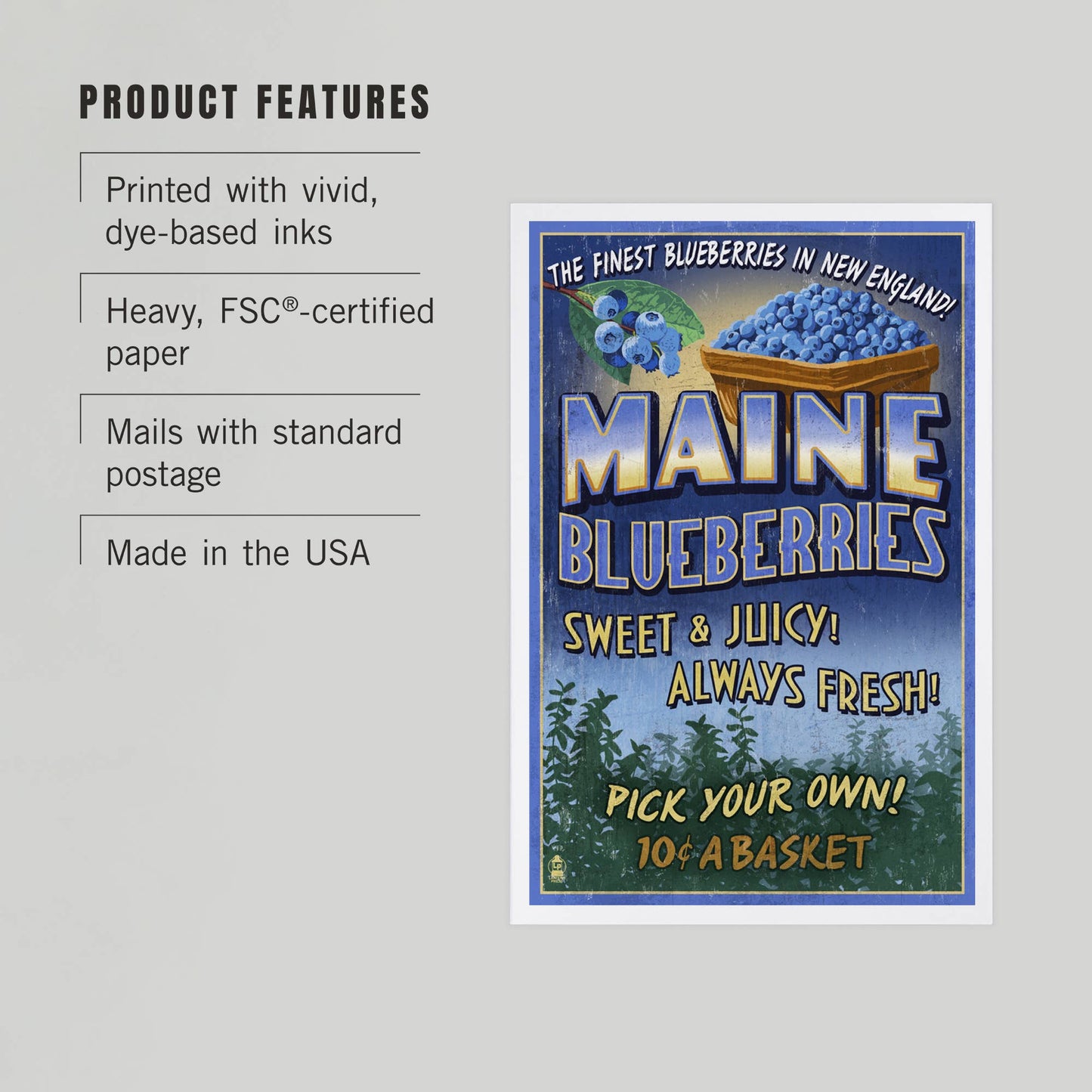 Postcard - Maine - Blueberries Vintage Sign