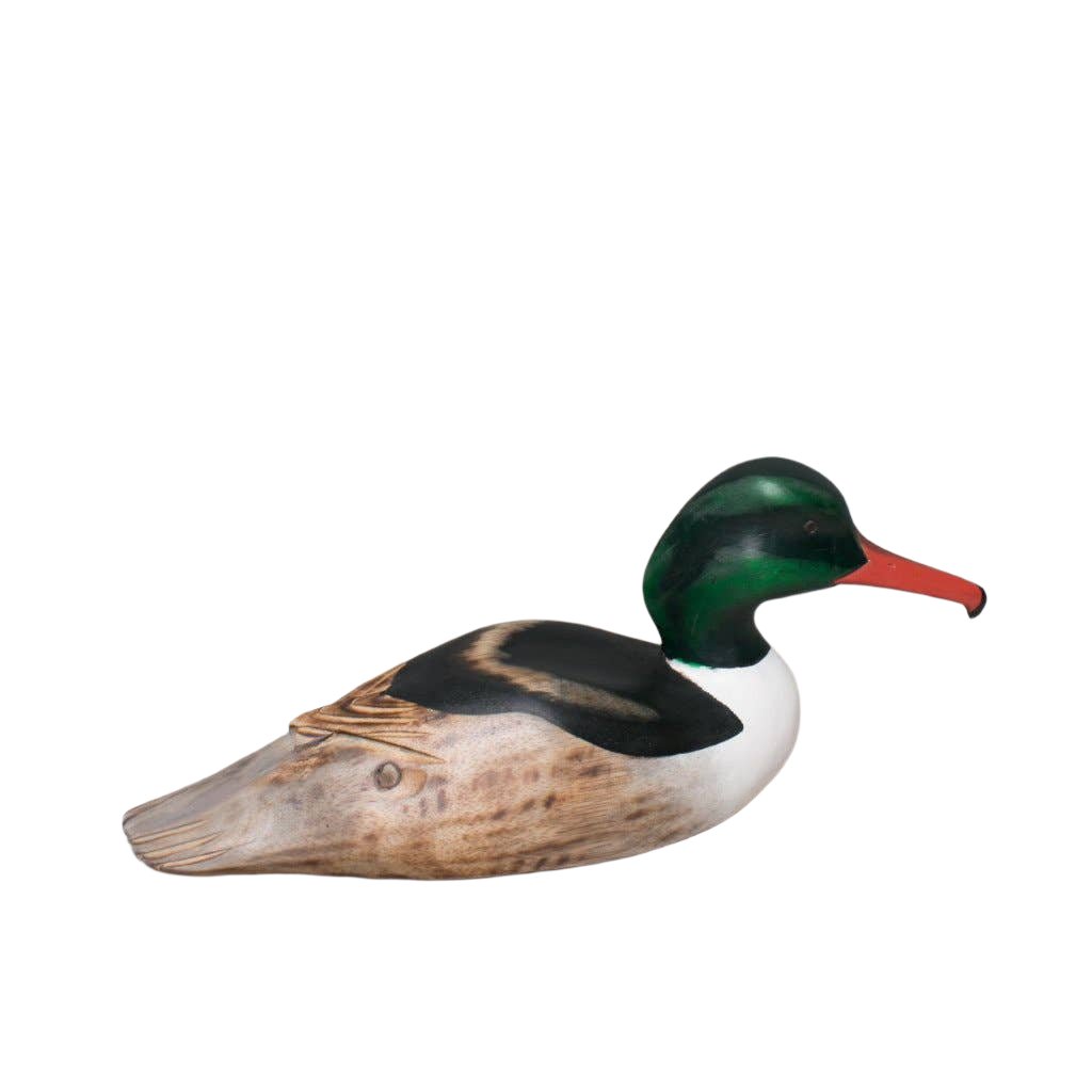 Duck - Merganser - 16"