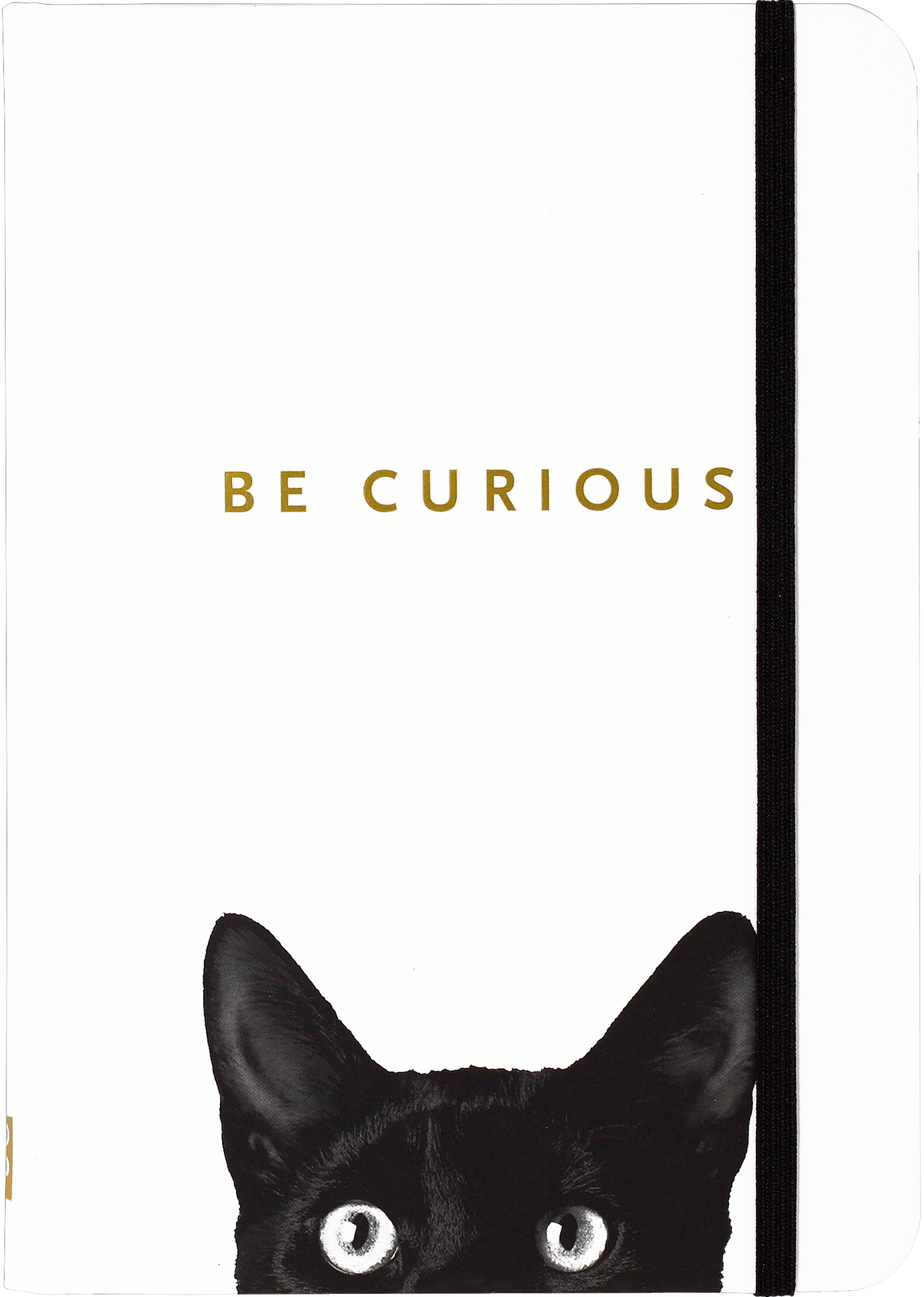 Curious Cat Journal