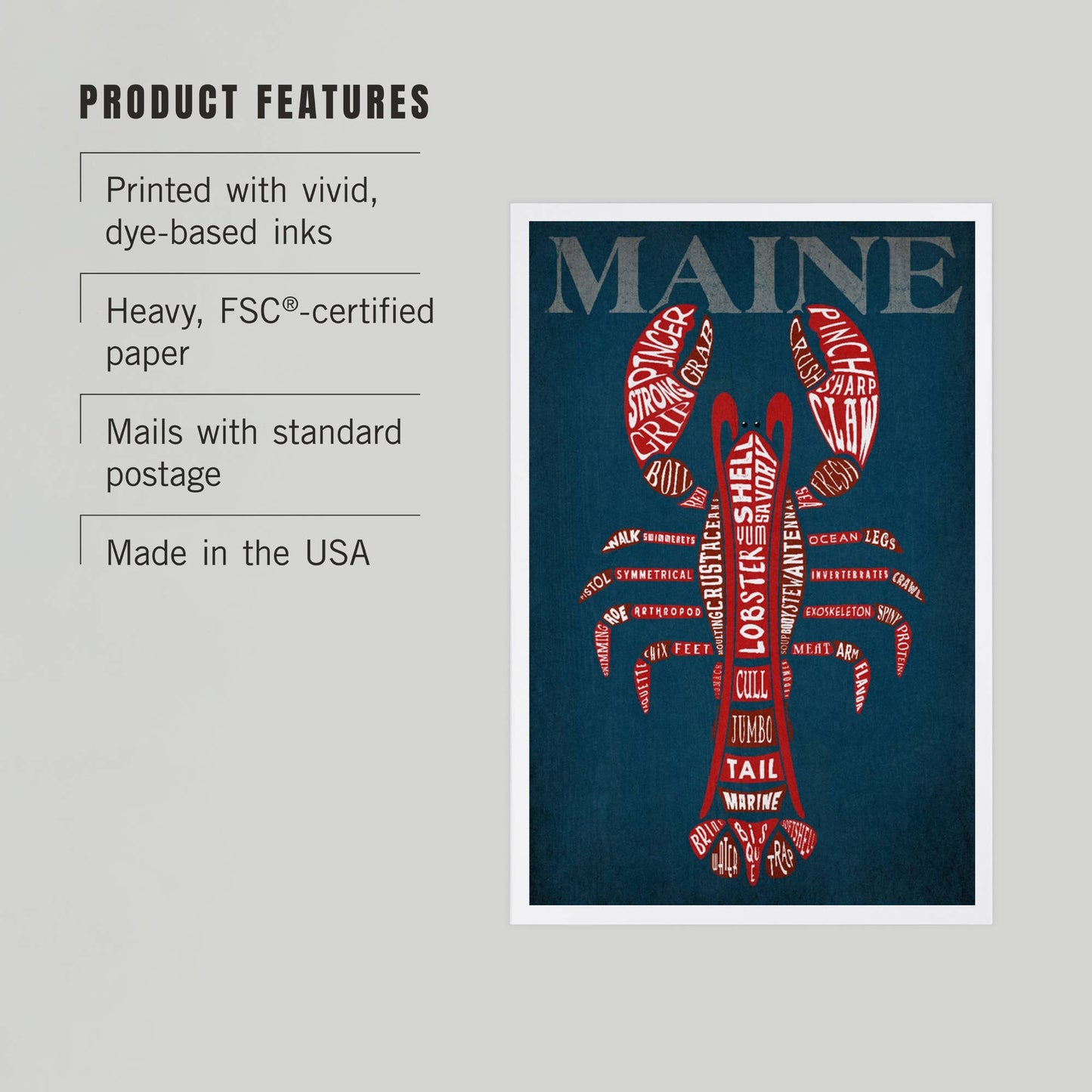 Postcard - Maine - Red Lobster Typography