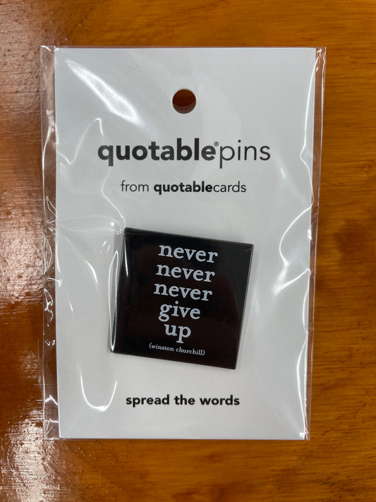 Pin - Never never never give up