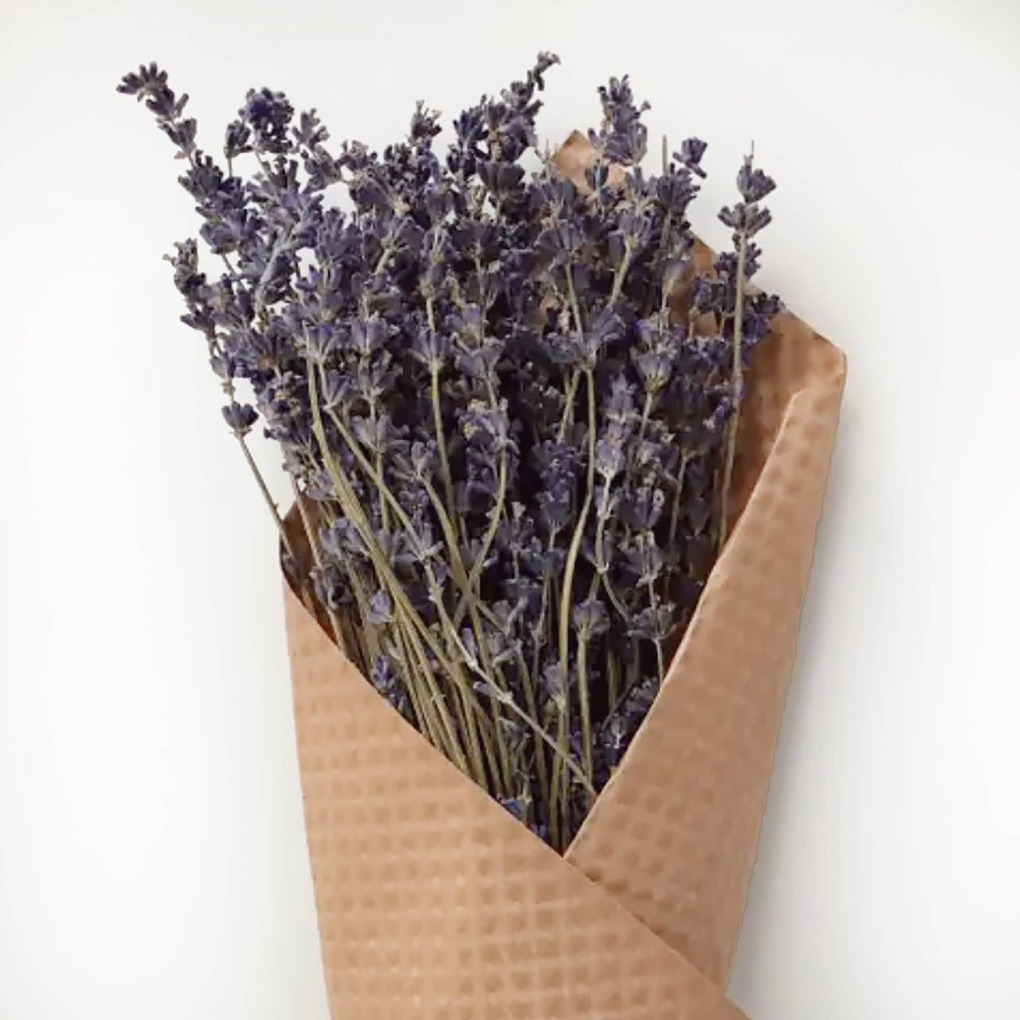 Flower - French Lavender Bundle