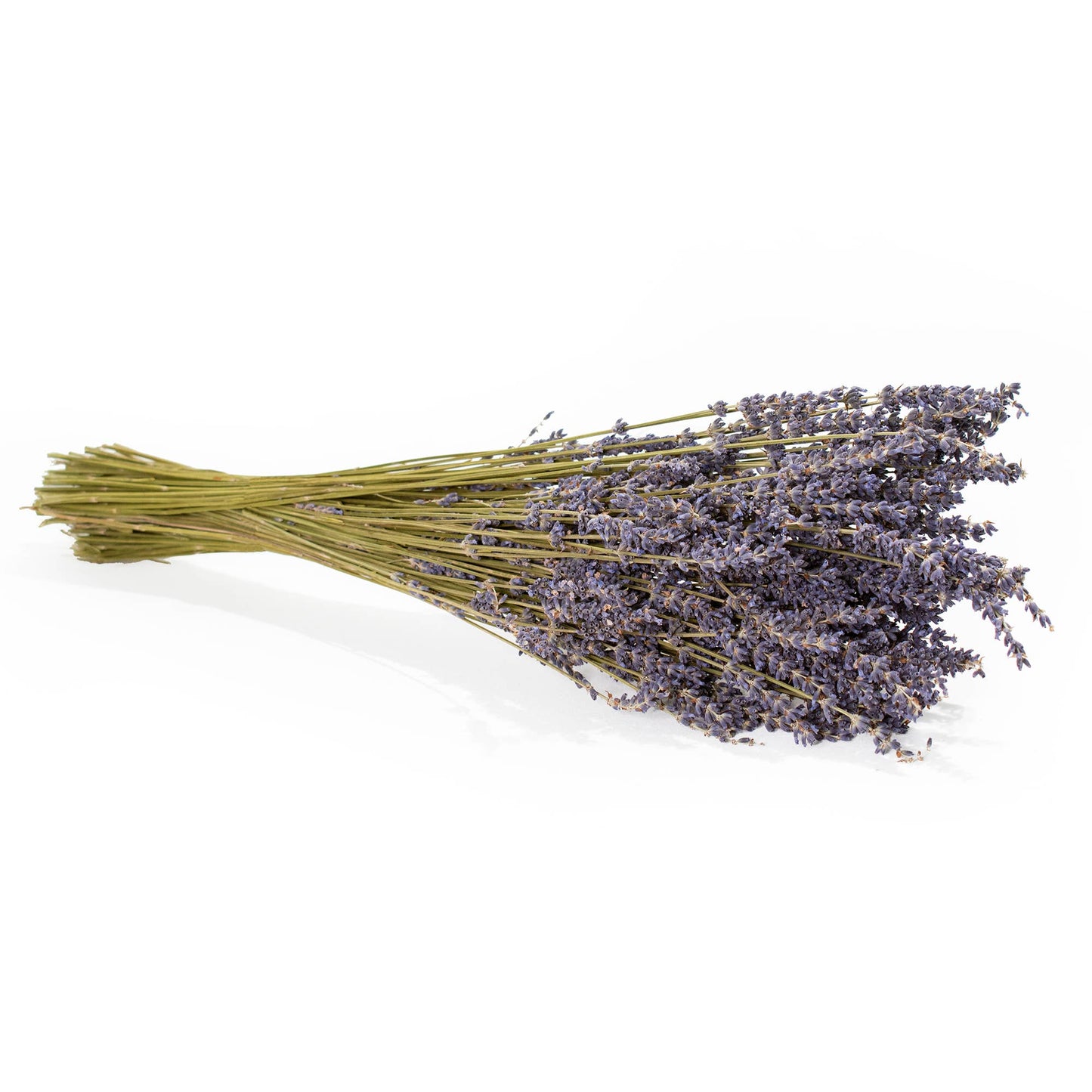 Flower - French Lavender Bundle