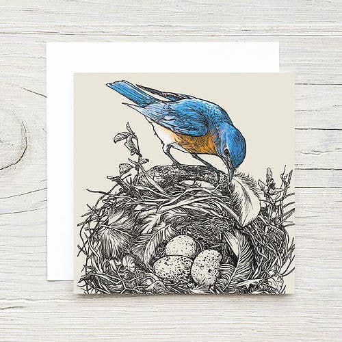 B. Isle - Card - Mini Notes Card Set - Bluebird Nest