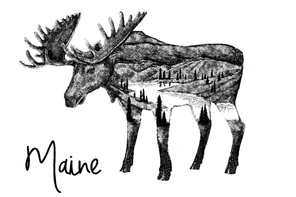 Towel - Organic Tea Towel - Maine - Moose Double Exposure