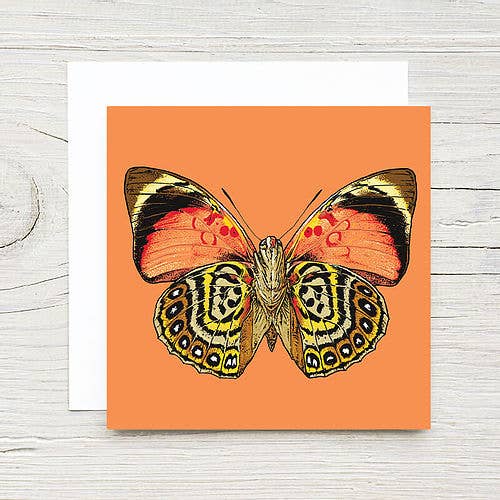 B. Isle - Card - Mini Notes Card Set - Butterfly