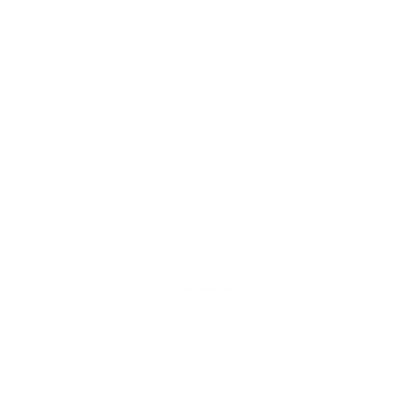 The Center for Entrepreneurial Studies
